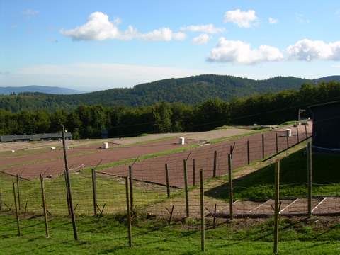 DSCN1040