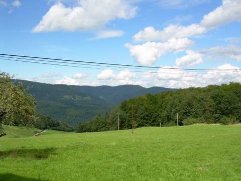 DSCN1047