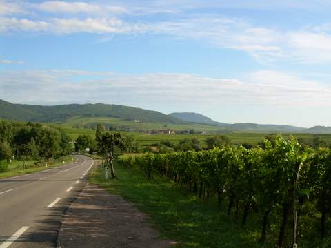 DSCN1069