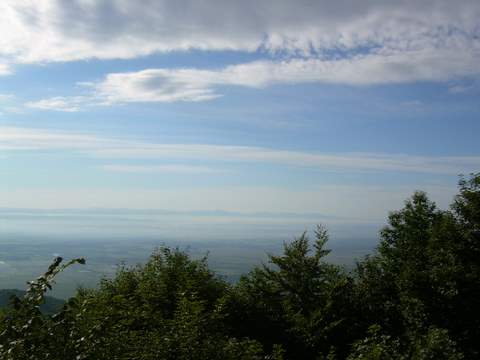DSCN1071