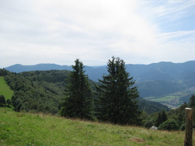 IMG_0648