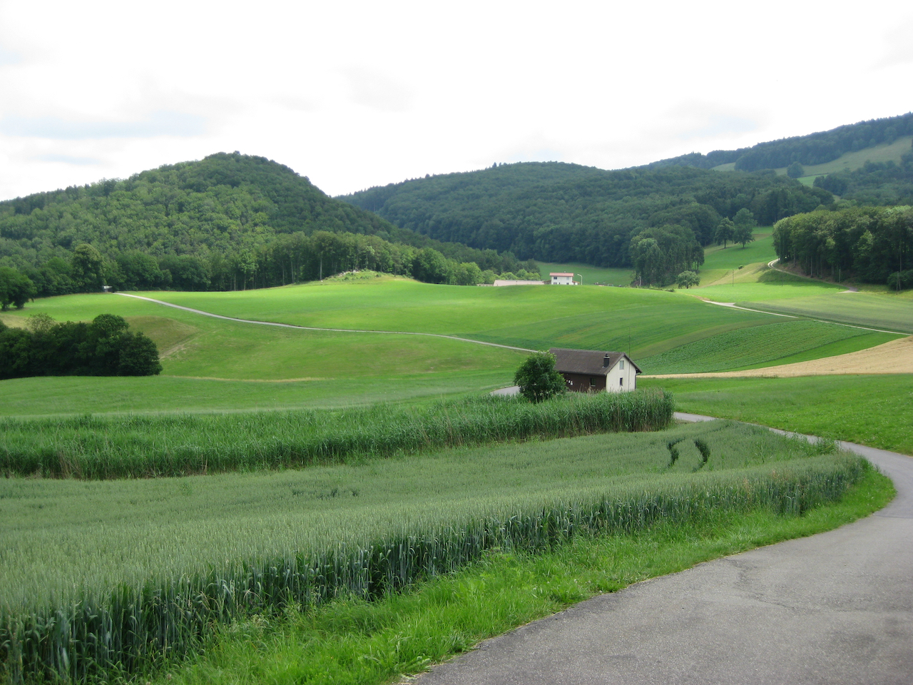 Bestand 186