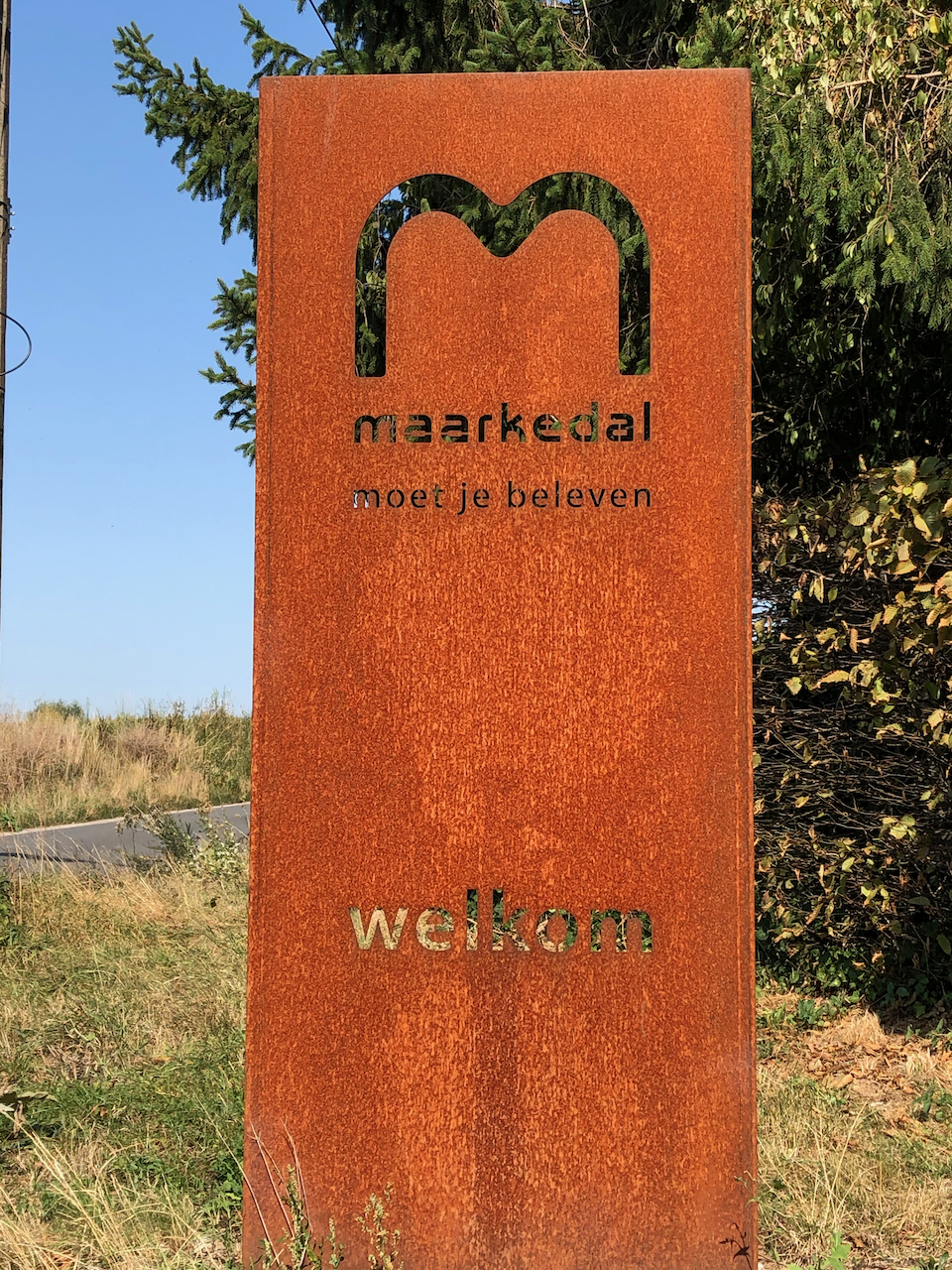 Vlaamse ardennen 100