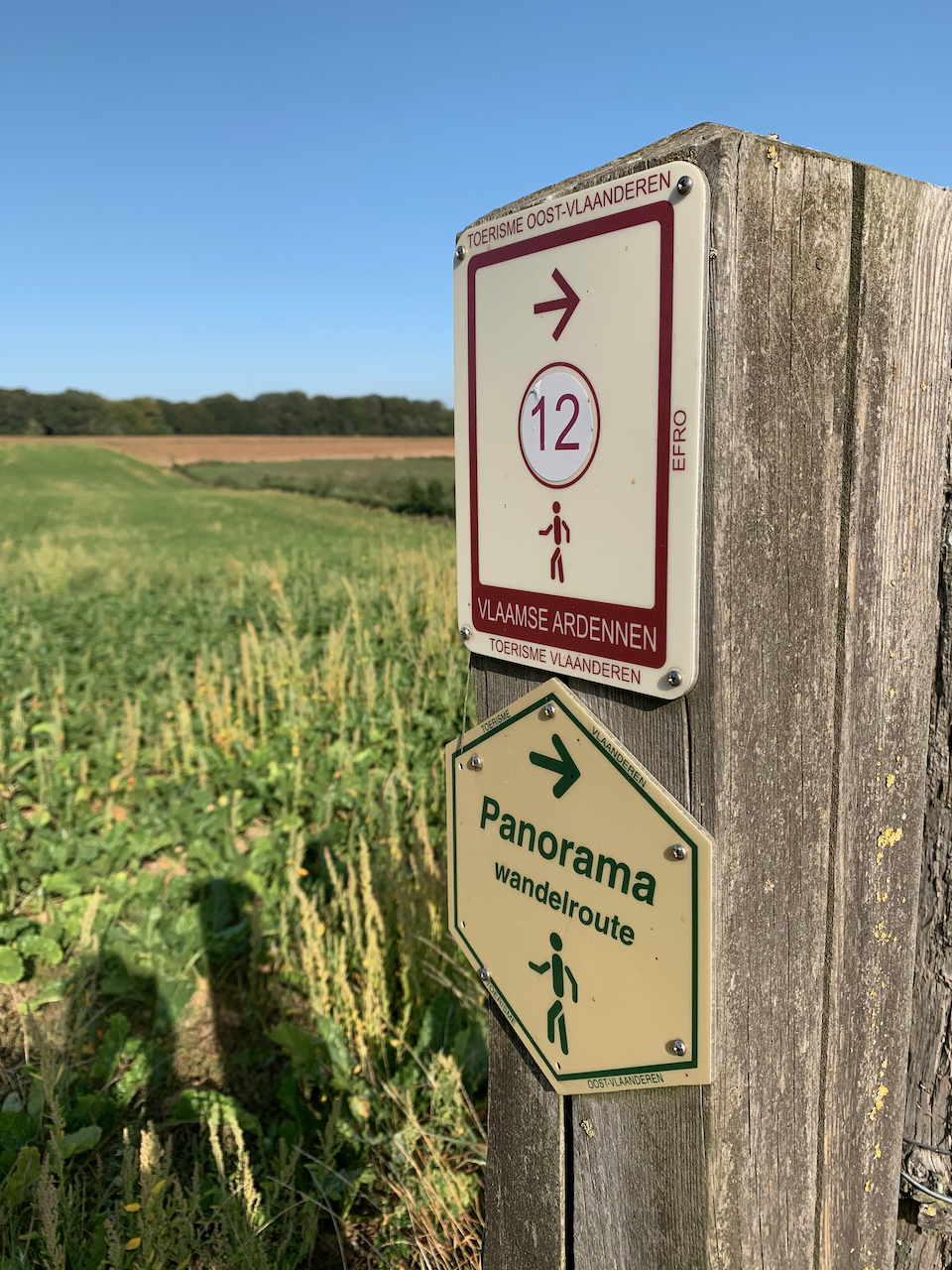 Vlaamse ardennen 119