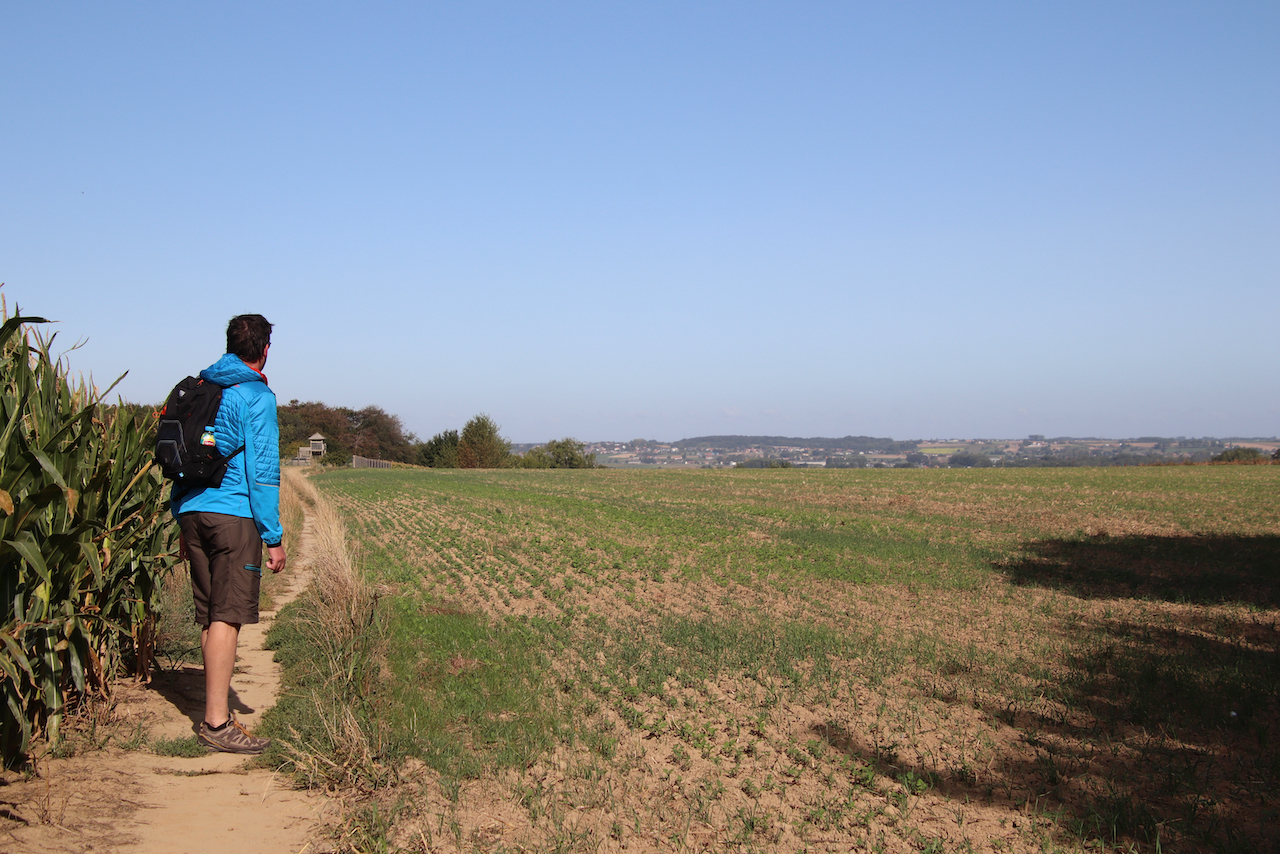 Vlaamse ardennen 120