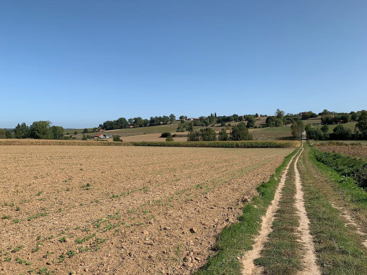 Vlaamse ardennen 122