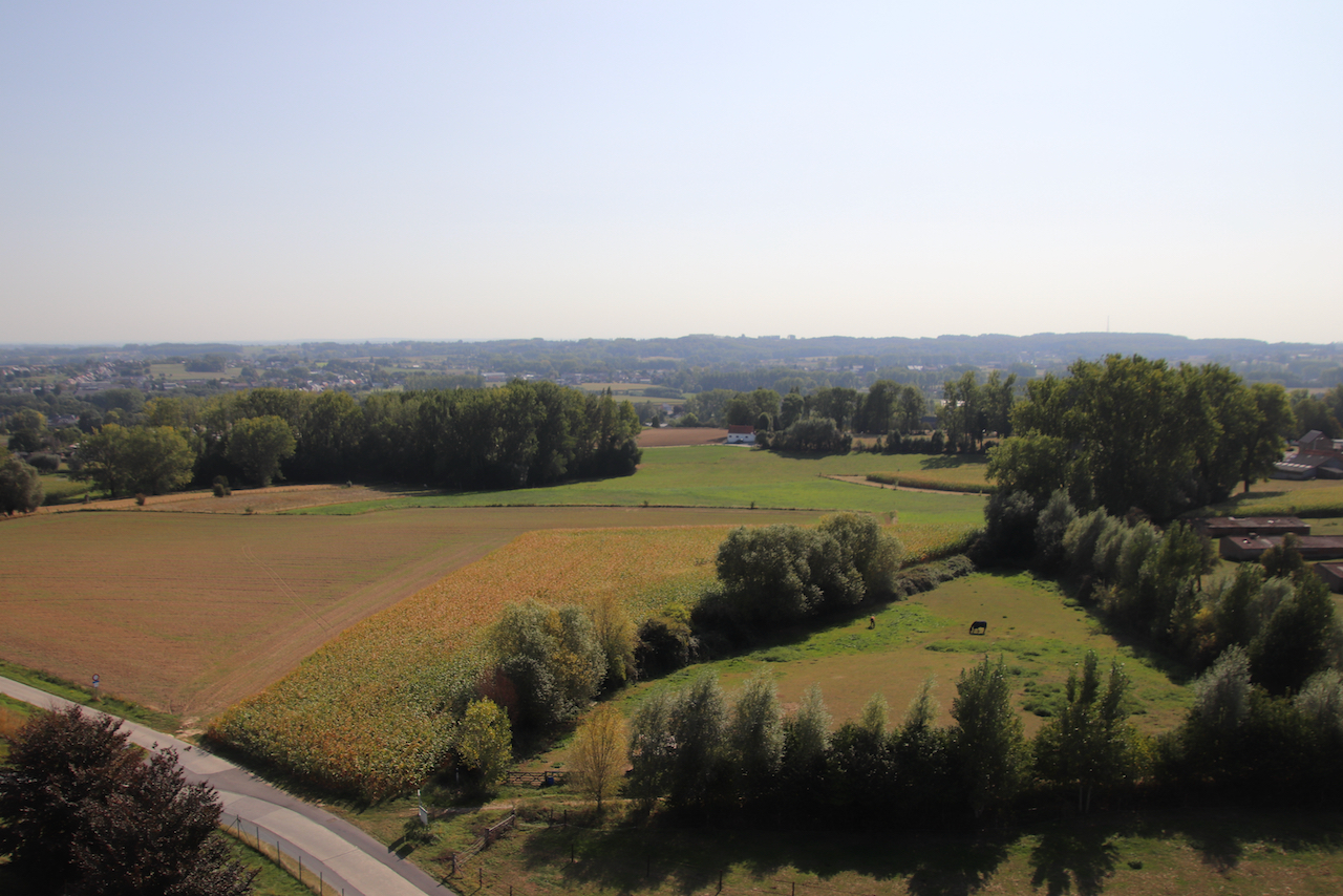 Vlaamse ardennen 129