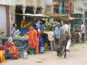 webindia0016