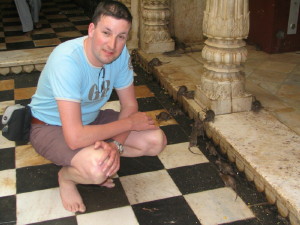 webindia0025