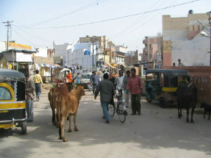 webindia0035