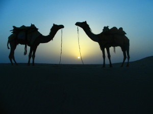 webindia0067