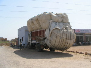 webindia0071