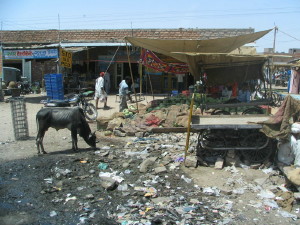 webindia0072