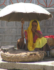 webindia0081