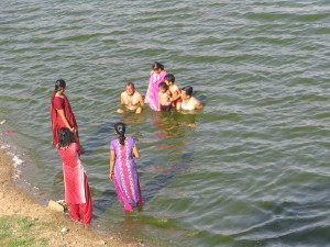 webindia0119