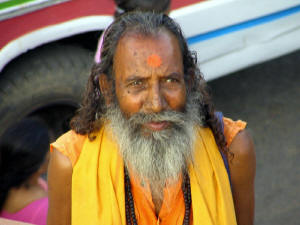 webindia0125