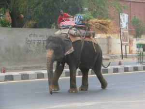 webindia0152