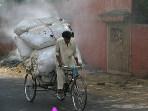 webindia0179