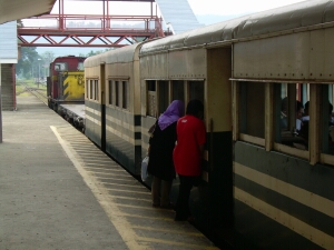 Borneo_1015