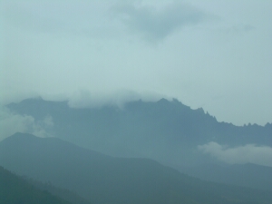 Borneo_1044