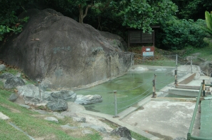 Borneo_1115
