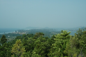 Borneo_1130