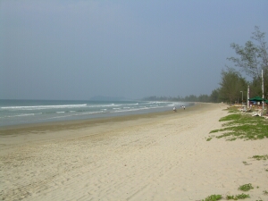 Borneo_1161