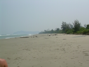 Borneo_1178