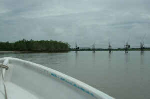 Borneo_131