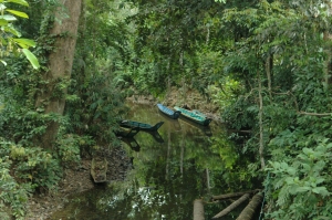 Borneo_286