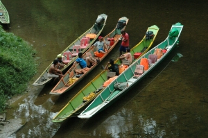 Borneo_287