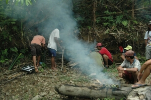 Borneo_309