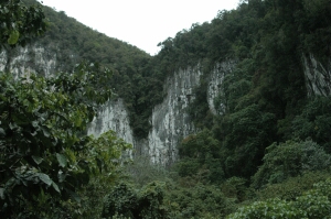 Borneo_430