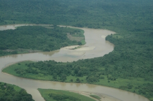 Borneo_491