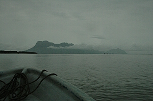 Borneo_67ee