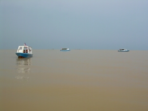 Borneo_776