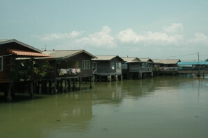 Borneo_998