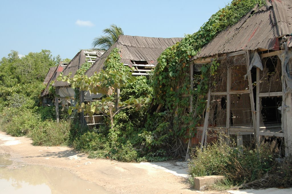Mexico0012