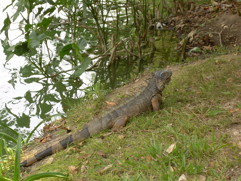 Mexico0126