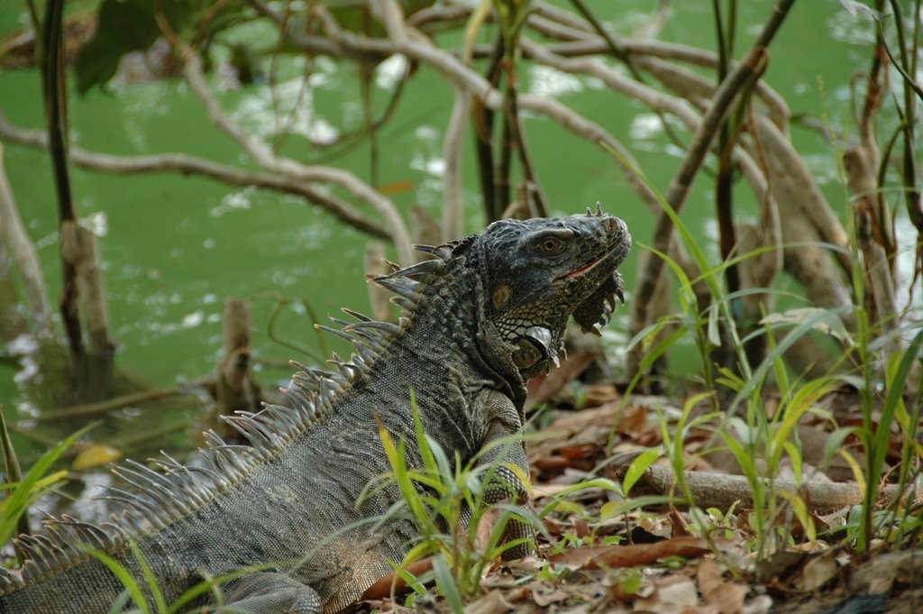 Mexico0167