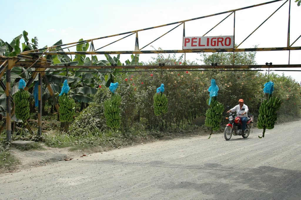 Mexico0459