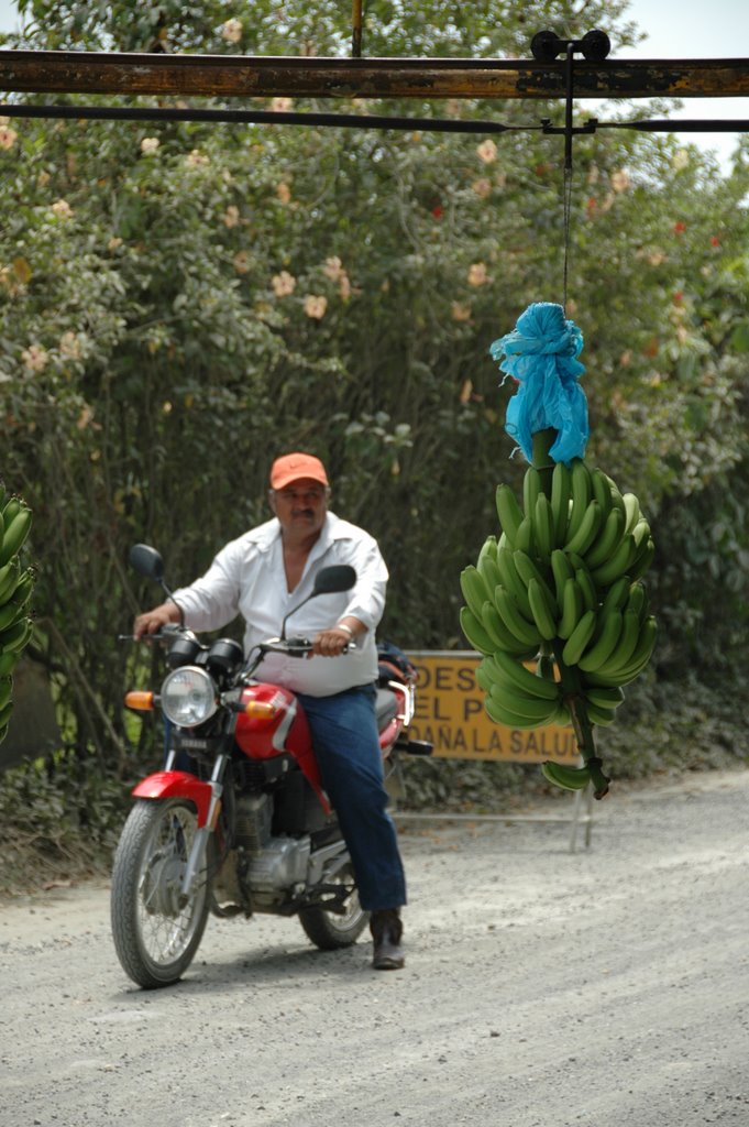 Mexico0462