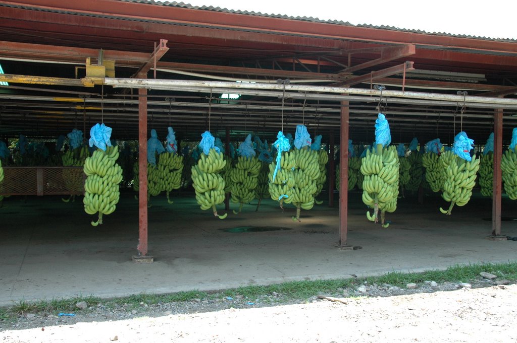 Mexico0497