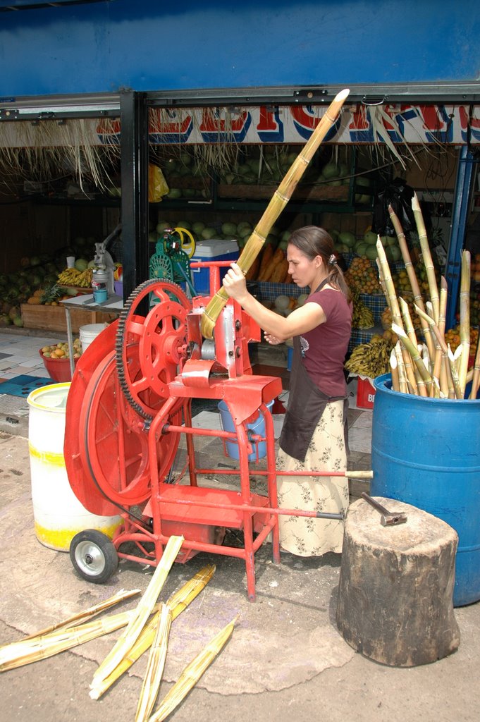 Mexico0591