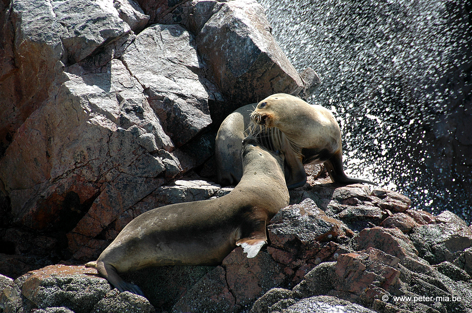 Peru Totaal-0075