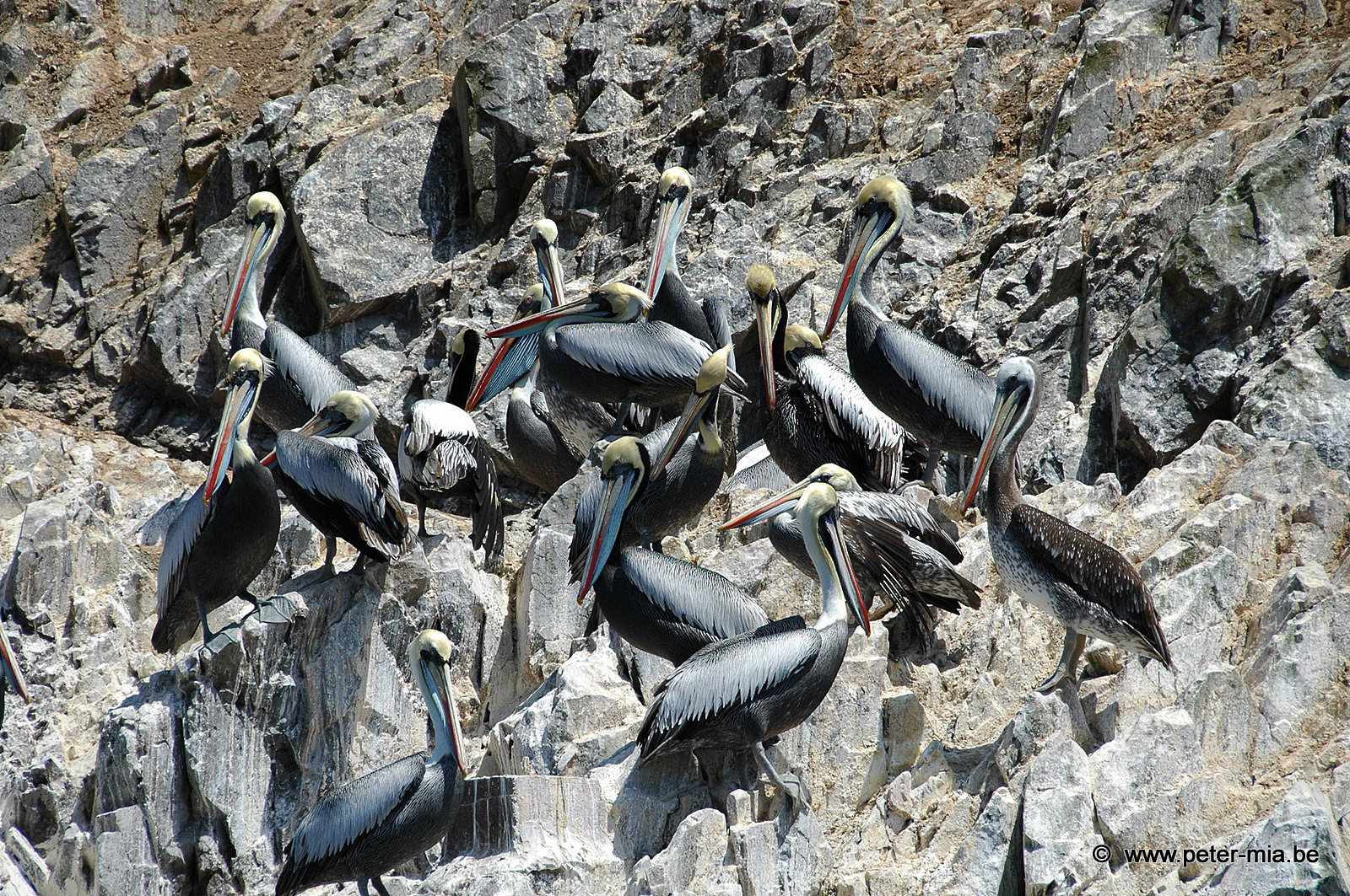 Peru Totaal-0086