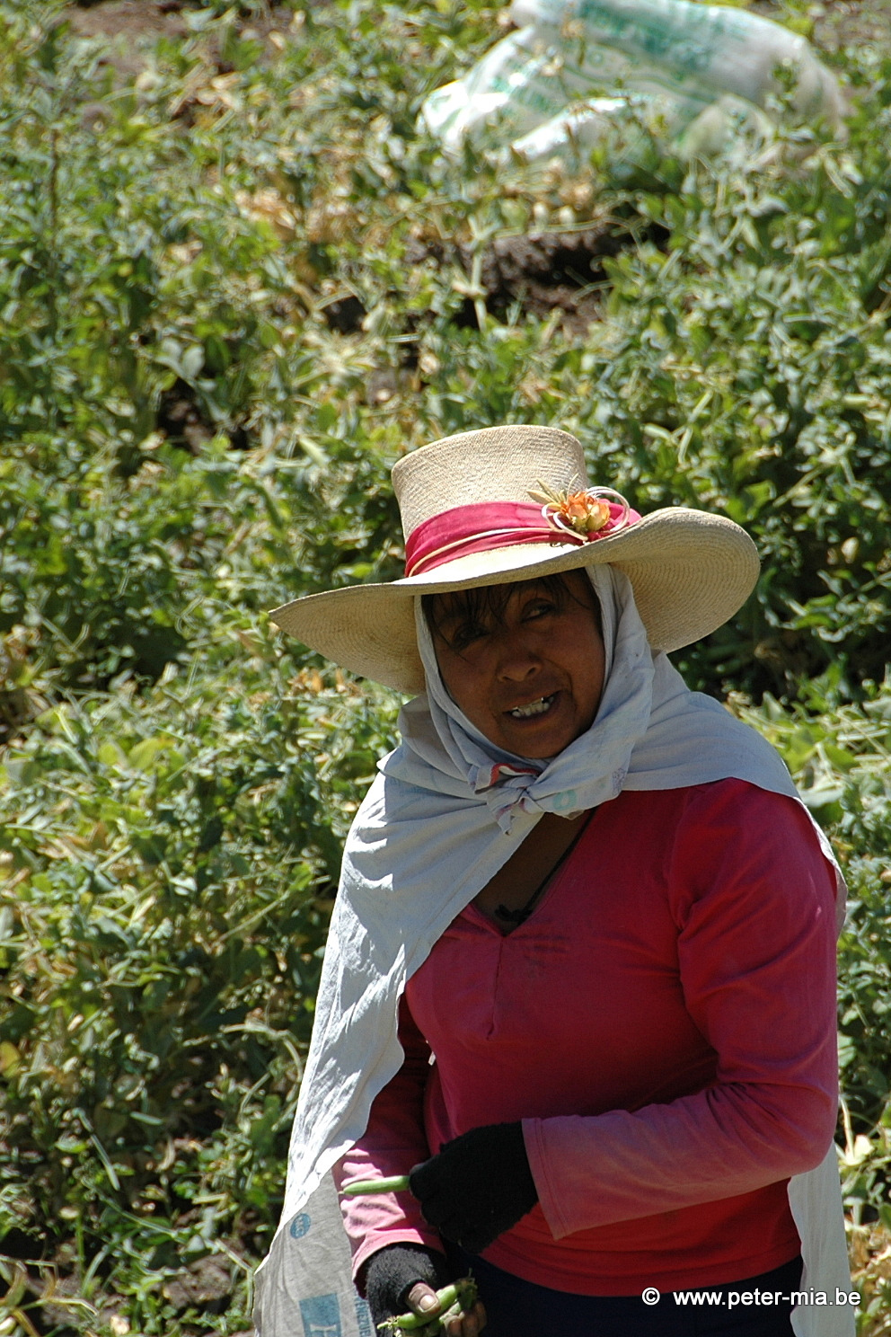 Peru Totaal-0337