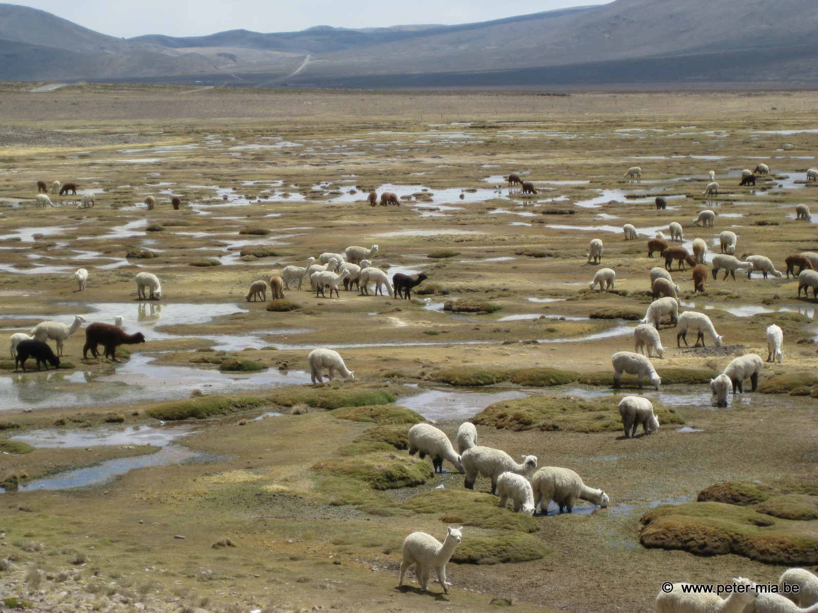 Peru Totaal-0542