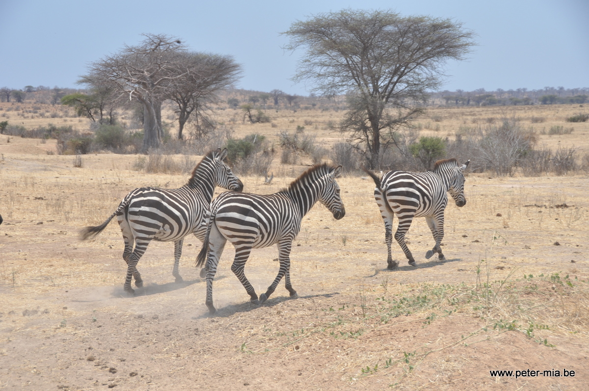 Tanzania All Peter-Mia-1025