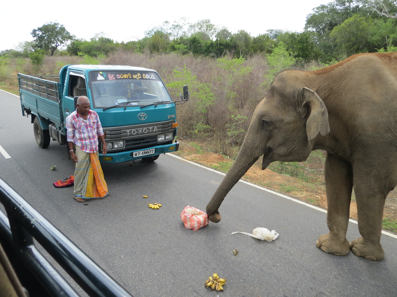 2014 Sri Lanka - 120 van 144